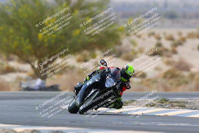 media/Apr-10-2022-SoCal Trackdays (Sun) [[f104b12566]]/Turn 5 Tree of Life (1040am)/